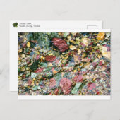 Farbiger Stream Postkarte (Vorne/Hinten)