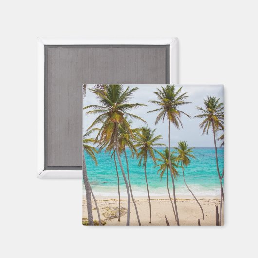 Farbiger tropischer Strand Magnet (Vorderseite/Rückseite)