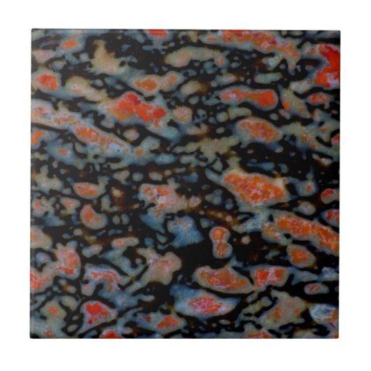 Farbiger versteinerter Dinosaurierknochen Fliese (Vorderseite)