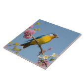 Farbiger Vogel auf blühendem Ast Fliese (Seite)