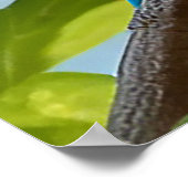 Farbiger Vogel auf blühender Zweigstelle Poster (Ecke)