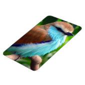Farbiger Vogel Magnet (Linke Seite)