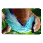 Farbiger Vogel Magnet (Horizontal)