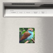 Farbiger Vogel Magnet (In Situ (Geschirrspüler))