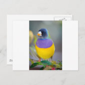 Farbiger Vogel Postkarte (Vorne/Hinten)