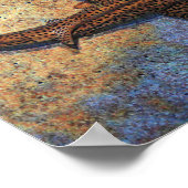 Farbiger Zebra Shark Poster (Ecke)