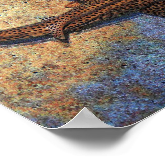 Farbiger Zebra Shark Poster (Ecke)