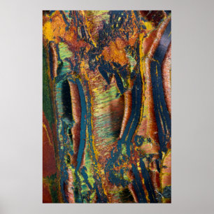 Farbiges Abstrakt eines Tigerauges Poster
