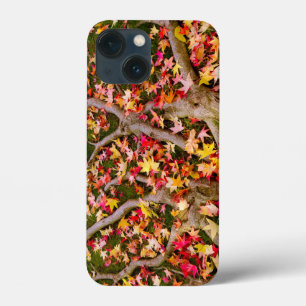 Farbiges Ahornleaf iPhone 13 Mini Hülle