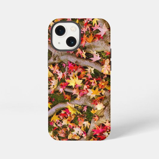 Farbiges Ahornleaf iPhone Hülle (Rückseite)