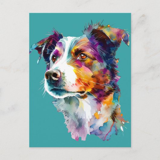 Farbiges Aquarellportrait an der Grenze Collie Dog Postkarte (Vorderseite)
