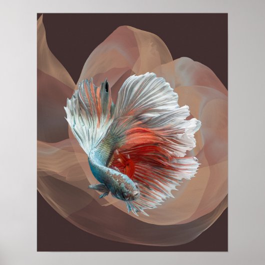 Farbiges Bettposter Poster (Vorne)