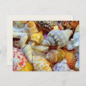 Farbiges Bild der Blanc-Postkarte der Muscheln Postkarte (Vorne/Hinten)