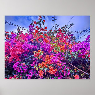 Farbiges Blume-Poster Poster