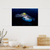 Farbiges Cuttlefish Poster (Küche)