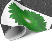 Farbiges Daisy Pattern Geschenkpapier (Rolleneckpunkt)