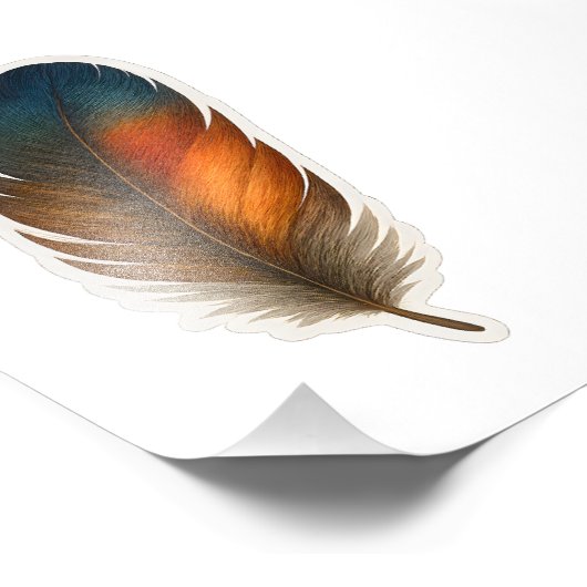 Farbiges Federdesign Fotodruck (Ecke)