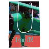 Farbiges Flugzeug Mittlere Geschenktüte (Rückseite)