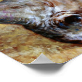 Farbiges Foto aus Rhinozeros Poster (Ecke)