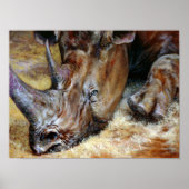 Farbiges Foto aus Rhinozeros Poster (Vorne)