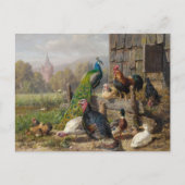 Farbiges Fowl Barnyard Carl Jutz Postkarte (Vorderseite)