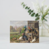 Farbiges Fowl Barnyard Carl Jutz Postkarte (Stehend Vorderseite)