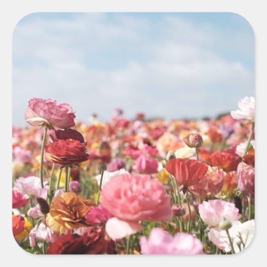 Farbiges Frühlingsblumen-Sticker Quadratischer Aufkleber (Vorderseite)