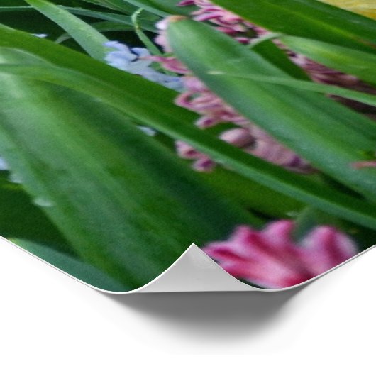 Farbiges Frühlingsgartenposter Poster (Ecke)