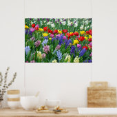 Farbiges Frühlingsgartenposter Poster (Küche)