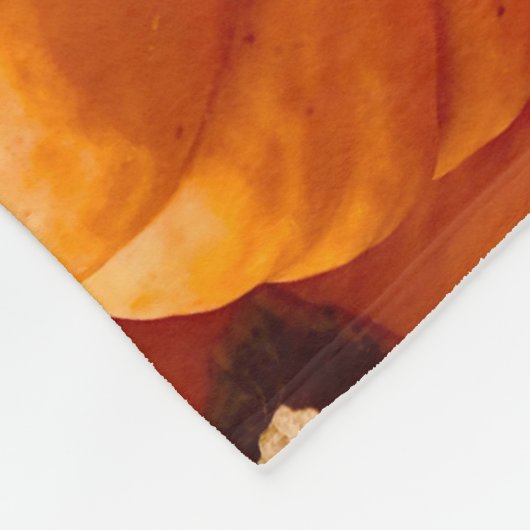 Farbiges Gemüse Fleecedecke (Ecke)