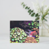 Farbiges Korallenriff Postkarte (Stehend Vorderseite)