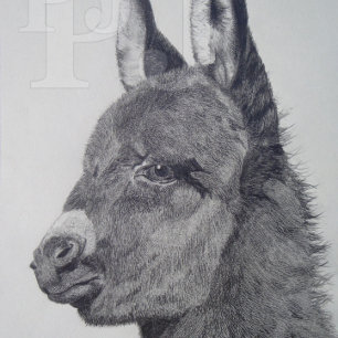 farbiges landschaftlich lebensechtes Bild des nied Armbanduhr