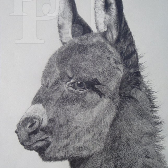 farbiges landschaftlich lebensechtes Bild des nied Armbanduhr (Von Creator hochgeladen)