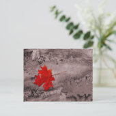 Farbiges Leaf auf schwarz-weißer Postkarte (Stehend Vorderseite)