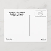 Farbiges Leaf auf schwarz-weißer Postkarte (Rückseite)