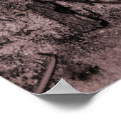 Farbiges Leaf im Schwarz-Weiß-Foto Poster (Ecke)