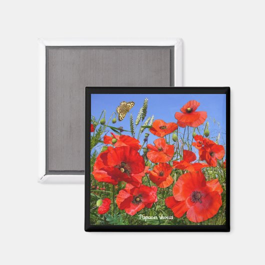 Farbiges Mohnfeld Magnet (Vorderseite/Rückseite)