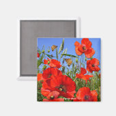Farbiges Mohnfeld Magnet (Vorderseite/Rückseite)