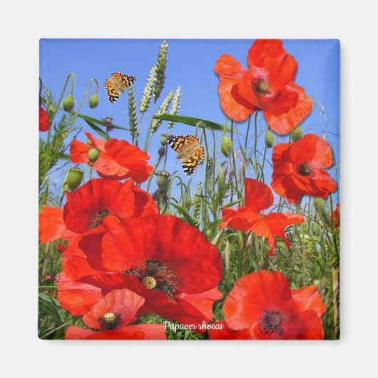 Farbiges Mohnfeld Magnet (Vorne)