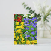 Farbiges Muster Postkarte (Stehend Vorderseite)