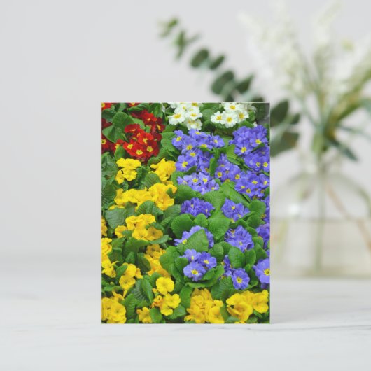 Farbiges Muster Postkarte (Stehend Vorderseite)