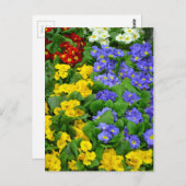 Farbiges Muster Postkarte (Vorne/Hinten)