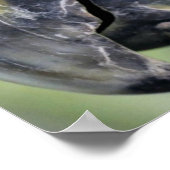 Farbiges Papageienposter Poster (Ecke)