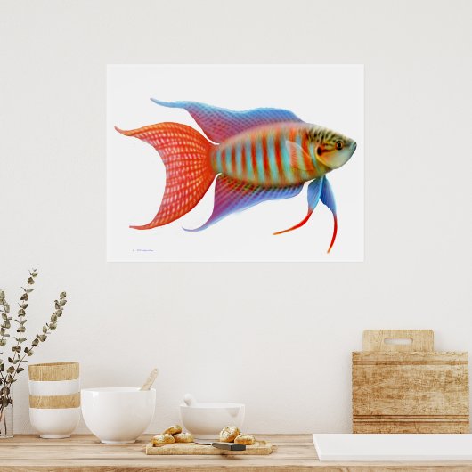 Farbiges Paradies Gourami Fisch Printwerbung Poster (Küche)