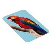 Farbiges Portrait-Foto Magnet (Rechte Seite)