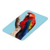 Farbiges Portrait-Foto Magnet (Linke Seite)