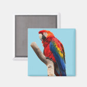 Farbiges Portrait-Foto Magnet (Vorderseite/Rückseite)