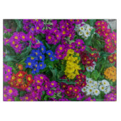 Farbiges Primatenglas Schneidebrett (Vorderseite)