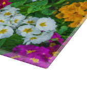 Farbiges Primatenglas Schneidebrett (Ecke)