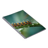 Farbiges Raupe Dead Notebook Notizblock (Rechte Seite)